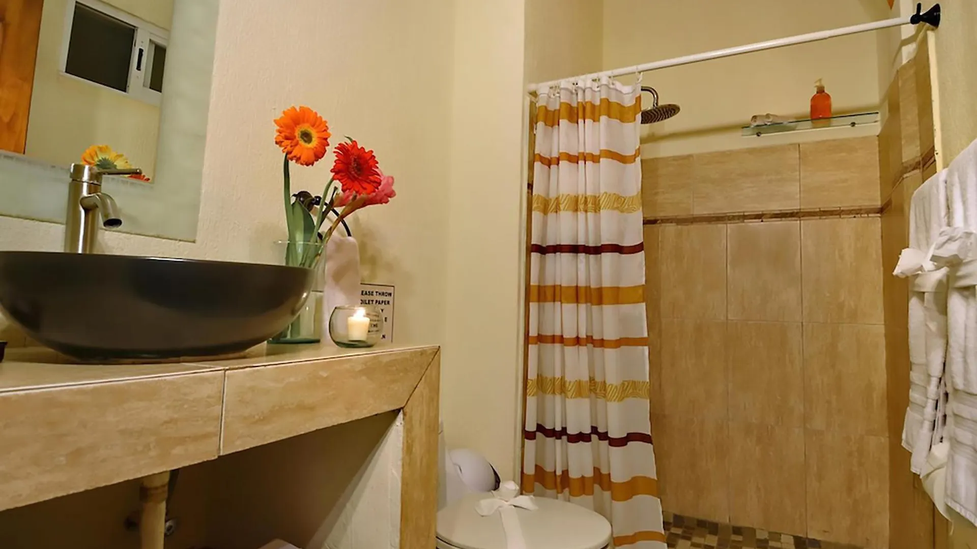 Villa Sol Y Luna Ocean Front With Private Pool Playa del Carmen