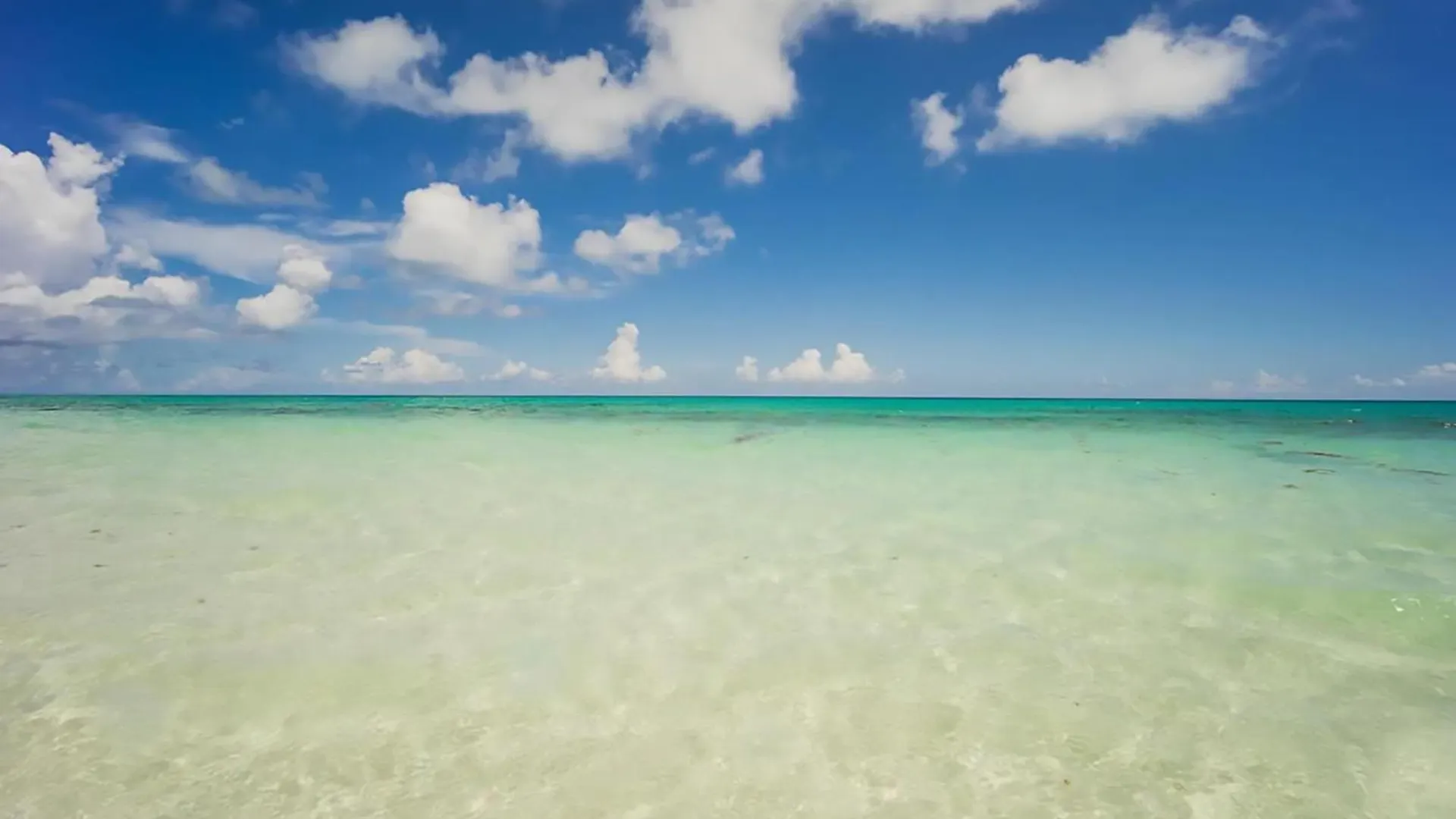 Villa Sol Y Luna Ocean Front With Private Pool Playa del Carmen